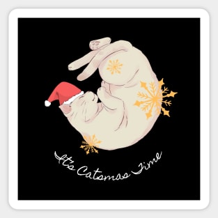 It's Catsmas Time Sticker